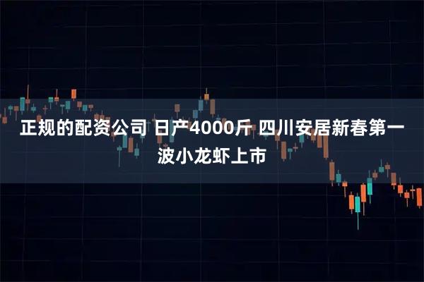 正规的配资公司 日产4000斤 四川安居新春第一波小龙虾上市